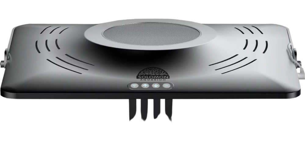 Solomon Aquarium